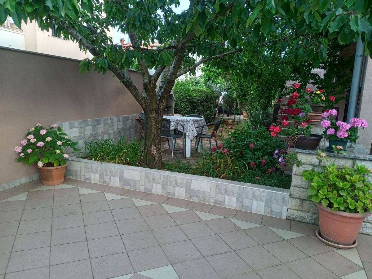 Apartmani Alma بولا المظهر الخارجي الصورة