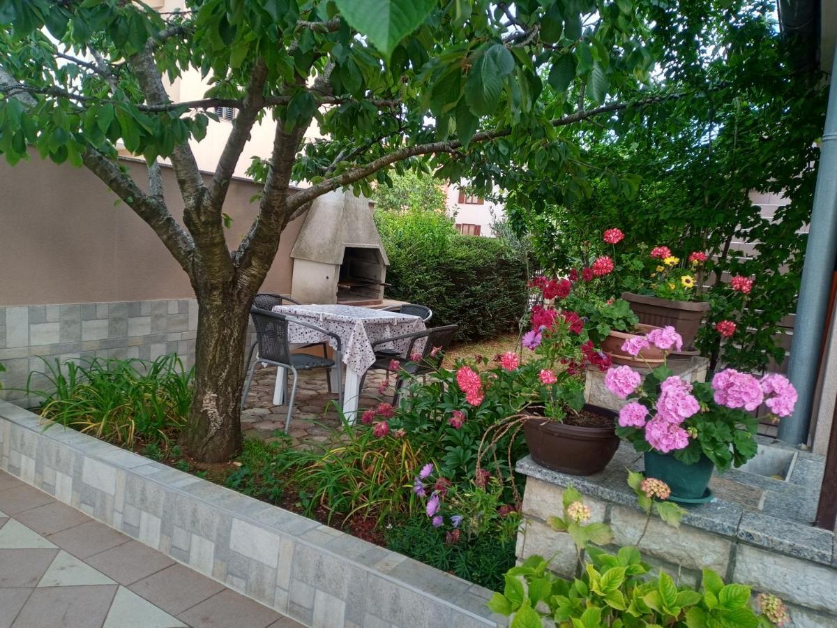 Apartmani Alma بولا المظهر الخارجي الصورة